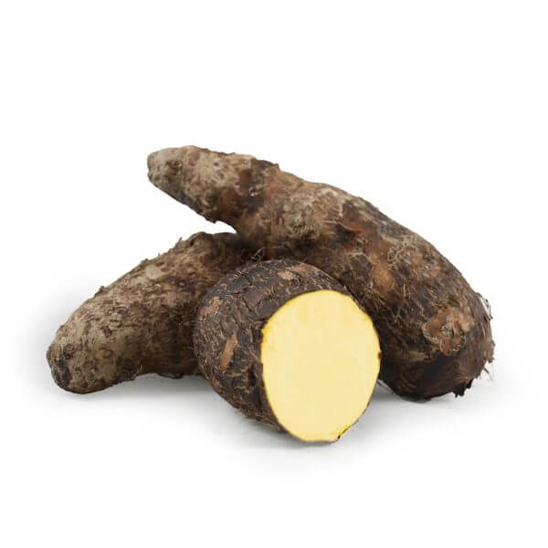 productos (21)